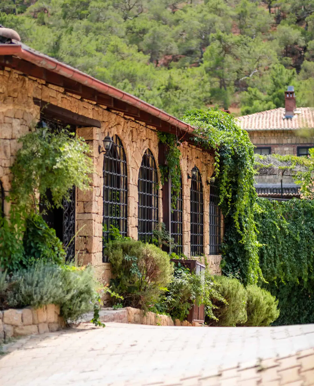 Manici Kasrı: an ivy-covered stone building with arched windows and a wooded slope behind